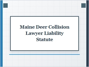 Understanding Liability After a Maine Deer Collision